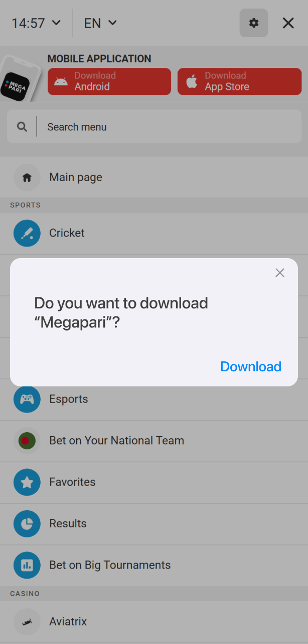 Accept the installation prompt on your device for the Megapari App.